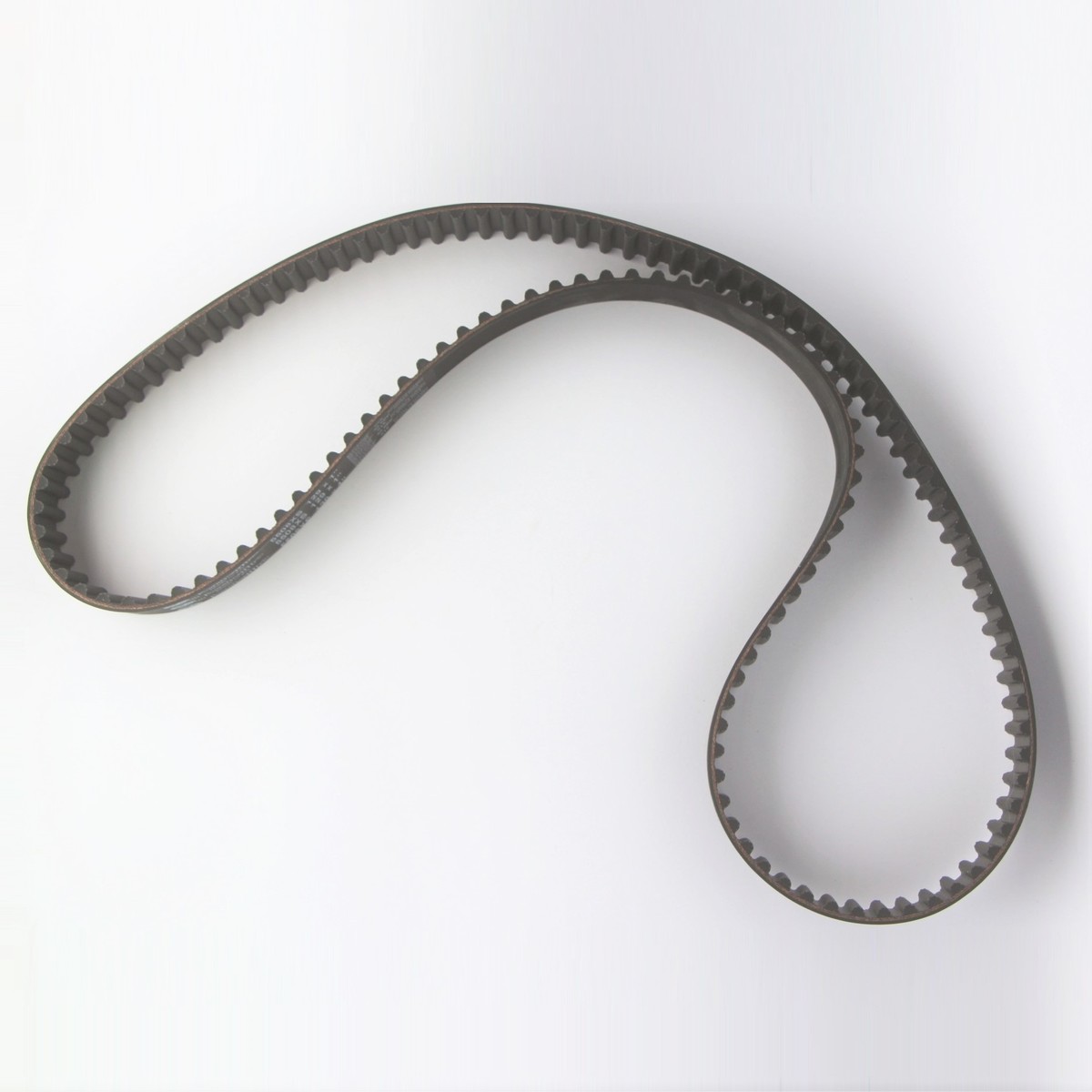 Timing belt for 4/4 1800 Focus
