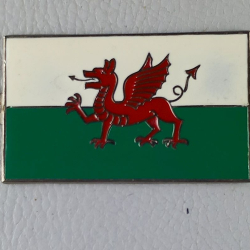 Welsh dragon badge 58mm x 35mm